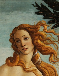 文艺复兴经典 波提切利botticelli 维纳斯女神希腊神话旁白装饰画