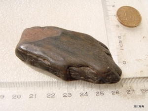 黑龙江水冲硅化木 小手玩 少裂 木化石原石 天然石头 53克