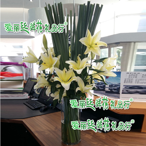 北京鲜花速递 24朵黄色花瓶装百合百合花 百合花束 生日祝福鲜花