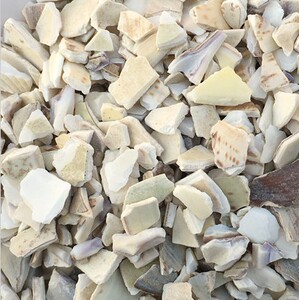 海蛤壳 中药材500克海蛤海蛤壳 海蛤粉 文蛤粉 蛤壳中药材店铺