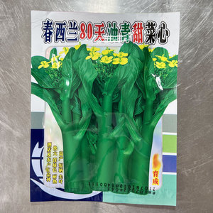 广东菜心种籽春西兰80天油青甜菜心种子油菜籽尖叶菜苔种孑春秋季