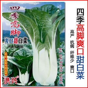 四季高脚白菜种籽长杆白菜春秋季播种高梗白菜可晒白菜干蔬菜种子