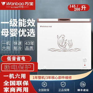 万宝 bc/bd-200de 145升208升冷柜家商两用冰柜1级单温冷藏冷冻柜