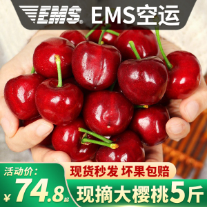 山东烟台美早大樱桃新鲜水果包邮整箱当季国产现货车厘子4j先锋