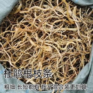 杜鹃根枝条根须沉木沉木骨架水草缸景观素材原料成品紫柚木栖根跟