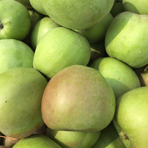 83有你似金秋淘宝国光苹果正宗5斤新鲜应季鲜果青农家自产酸甜老树