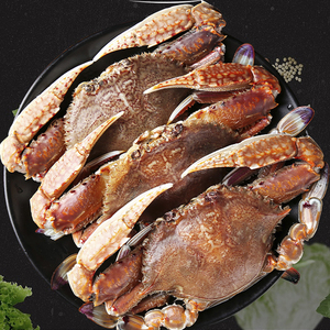 鲜活海蟹冷冻水产梭子蟹东海肉蟹扁蟹速冻三斤装超大肉蟹新鲜包邮