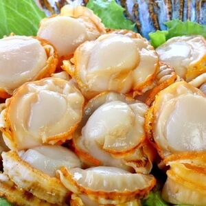 粉丝扇贝包装袋