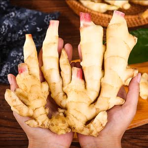 2022新鲜红芽姜现挖嫩姜生姜山东佛手姜大黄姜芽仔姜大仔鲜姜5 斤