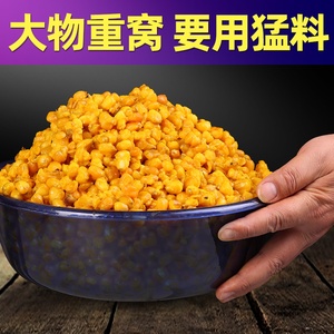 钓鱼大物蒸玉米专用窝料野钓重窝打窝水库挂钩鲜老玉米打窝料饵料
