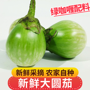 新鲜大圆茄5斤白茄子圆茄子应当季咖喱菜东南亚餐厅食材幼茄包邮