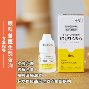日本千寿猫鼻支滴眼液碘苷杯状疱疹感染结膜角膜溃疡腐骨炎症流泪
