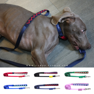 绝版款hidream彩虹系列基础版牵引绳舒适尼龙宠物外出狗绳