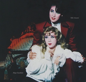 初装限定 凡尔赛玫瑰 奥斯卡篇 舞台剧 音乐剧 dvd 天海佑希 宝冢