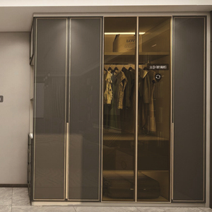 极简玻璃门全屋衣柜定制设计云南昆明高端工厂柜类柜子护墙板灰色