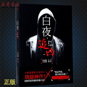 白夜追凶小说 谢十三 白夜追凶优酷网剧电视剧全集同款同名小说