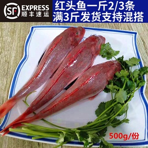 威海当天野生新鲜大红娘鱼 鲜活红头鱼小红鞋鱼麒麟鱼500g4斤包邮