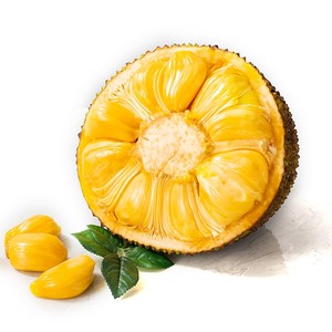 海南黄肉菠萝蜜新鲜水果包邮45斤大果当季一整个波罗蜜三亚特产红