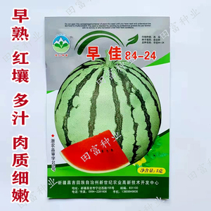 西瓜种子早佳8424冰糖王西瓜籽早熟高产甜瓜春季秋季抗裂西瓜种苗