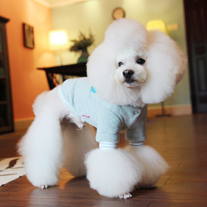 妮克威尔nicovaer宠物用品泰迪狗狗衣服小型犬 纯棉加厚鲨鱼外套