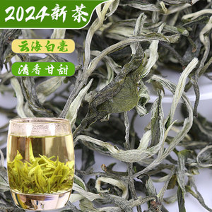 2024年明前头采云海白毫绿茶云南普洱产春茶一级罐装250g清香鲜甜