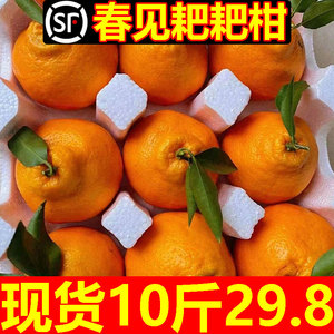 四川春见耙耙柑时令新鲜水果当季整箱正宗10斤丑柑橘子桔子粑粑柑