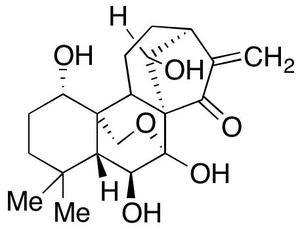 冬凌草甲素/oridonin28957-04-2