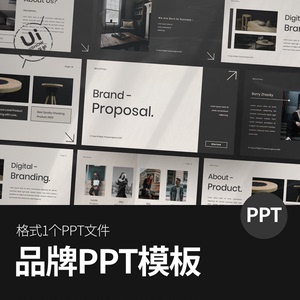 品牌指南商业投资企业公司广告提案PPT演示幻灯片模板设计素材