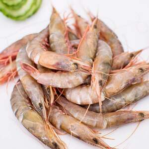 吕四海鲜野生金钩虾海捕野生金钩虾鲜活冷冻海鲜金钩虾 450g