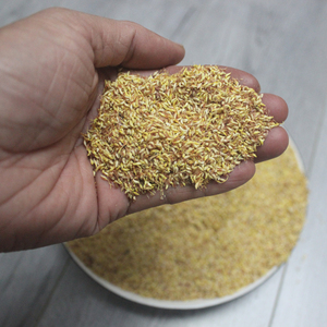 爱玉籽野生薜荔果籽手搓凉粉籽500g王不留行籽水晶凉粉籽产地直销