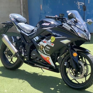 全新小忍者地平线250c双缸400北极光发动机趴赛重机摩托车可上牌
