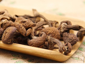 东北大兴安岭野生榛蘑野生蘑菇棒蘑无根针蘑菇干货500克2件包邮