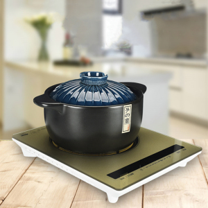 电磁炉专用砂锅熬药燃气灶通用瓦煲瓦罐汤煲家用明火两用熬粥适用