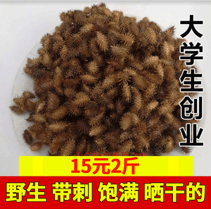 2斤苍耳子中药材野生成熟带刺苍耳种子流鼻涕鼻塞苍耳油泡脚包邮