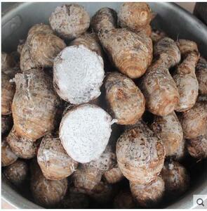 海南三亚 新鲜蔬菜 芋头 小芋头 粉糯小香芋5斤装