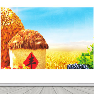 丰收稻谷装饰画