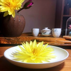 801人付款淘宝特价台湾莲花茶整朵 12朵九品香莲茶