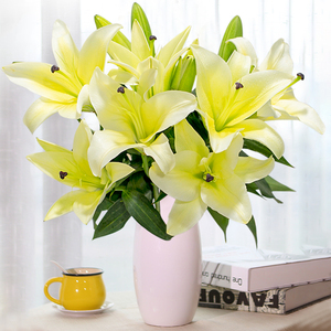 百合花鲜花黄色