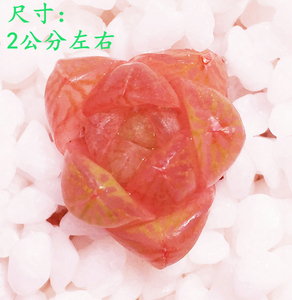 红灯笼玉露多肉植物盆栽包邮玉露盆栽玉露苗琥珀玉露绿植盆栽花卉