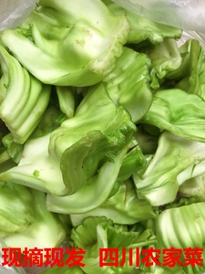 四川当季新鲜蔬菜奶奶菜泡酸菜泡青菜包包儿菜泡菜2斤4斤5斤包邮