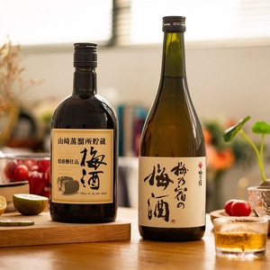 [2支装] 日本进口三得利山崎蒸馏所梅酒梅乃宿梅子酒柚子酒桃子酒