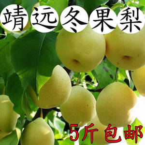 靖远冬果梨17年新鲜大庙水果梨子现摘现发兰州大果子5斤包邮缺货