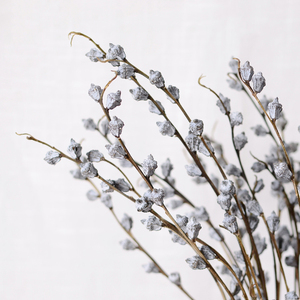 【尤加利果】北欧时尚干花 居家花瓶摆设插花 天然小清新真干花束