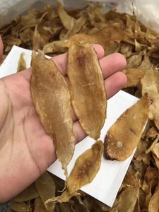 鱼胶小赤嘴