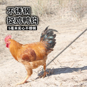 不锈钢抓鸡神器家用捉鸡钩抓鸡钩工具户外养殖场抓鸡鸭鹅逮鸡勾子