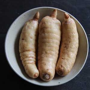 新鲜天麻500克 7-8只 买多优惠 四川青川  非云南昭通 高山野外