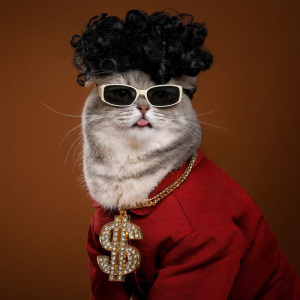 宠物猫眼镜猫咪墨镜复古酷猫搞怪拍照道具猫咪带的个性饰品小狗狗