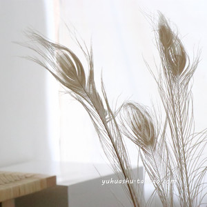 ins风米白色孔雀毛羽毛家居饰品圣诞装饰摆设软装设计店铺陈列