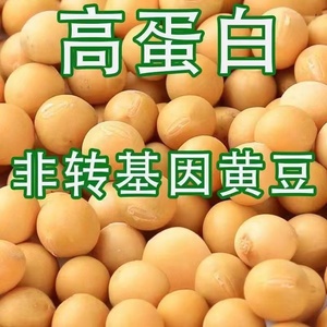 10斤23年新黄豆打豆浆专用农家自种东北非转基因新黄豆批地老品种