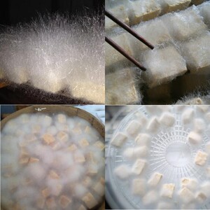 毛豆腐安徽黄山特产徽州长毛云南白毛毛霉菌粉霉20g曲毛菌粉